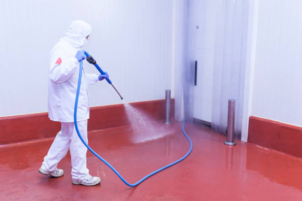 Trusted Attica, MI Pressure Washing Services Experts
